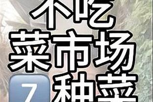 普尔回归首发后的13场比赛场均21分3.5板7.2助 命中率44%